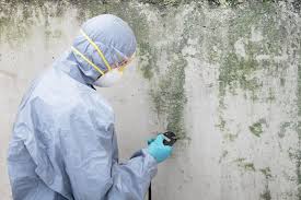 Mold Remediation for Vacation Homes in Rancho Cucamonga, CA